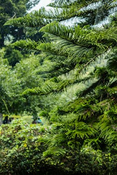 pexels-photo-34060169-34060169.jpg